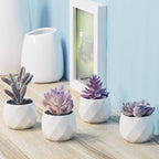Ceramic Faux Succulent - View 2
