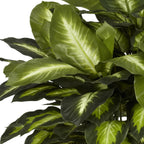 Modern Fabric Artificial Plant - View 5