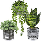 Modern Artificial Plant