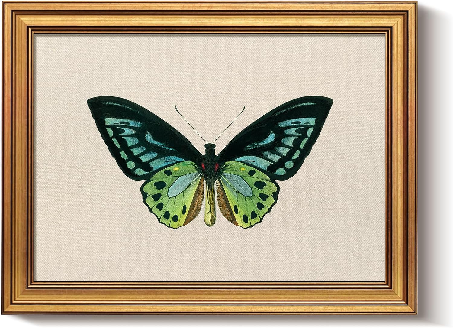 Framed Luxe Blue Wall Art — 16" — Green Butterfly