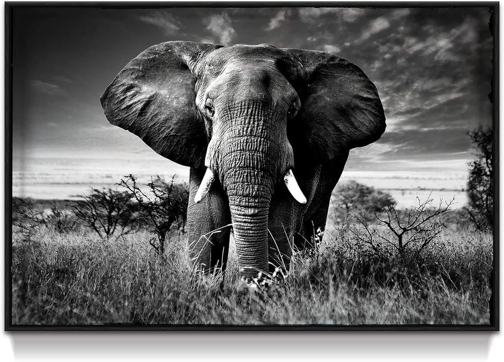 Farmhouse Black Wall Art — 16" — African Elephant