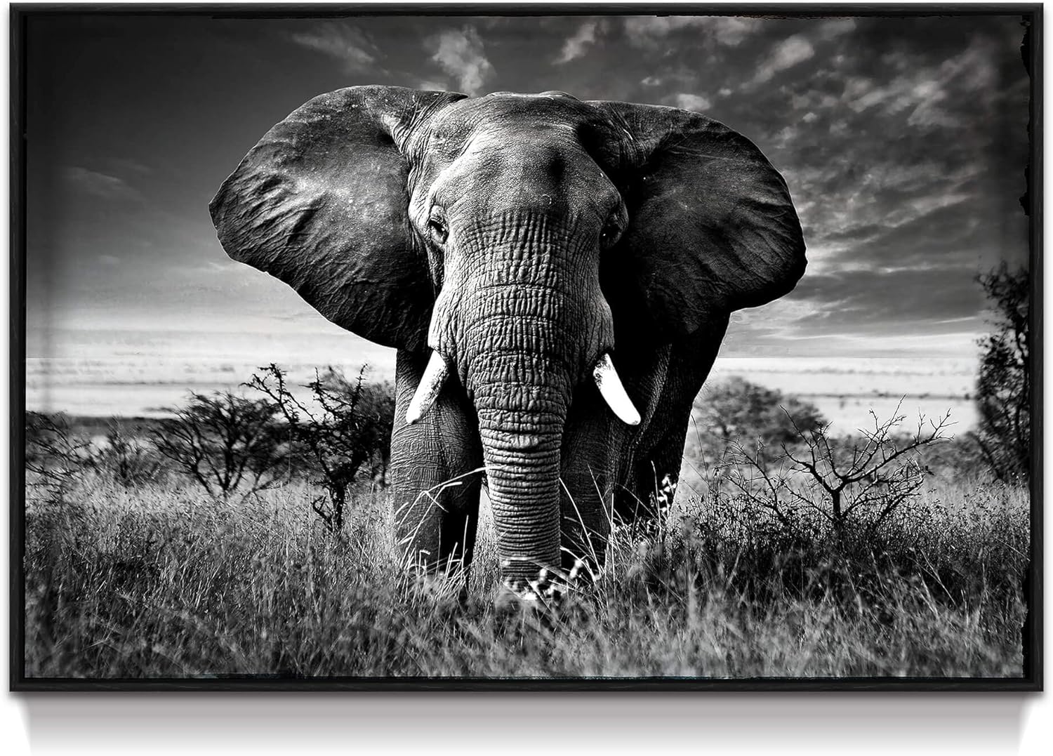 Farmhouse Black Wall Art — 16" — African Elephant
