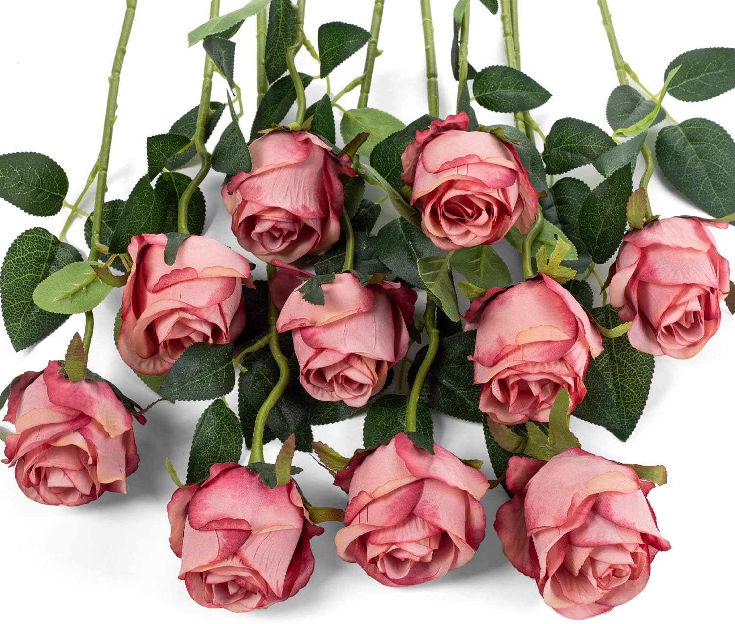 Black Artificial Plant — Rose Red