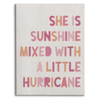 Framed Boho Pink Canvas Wall Art — 14"