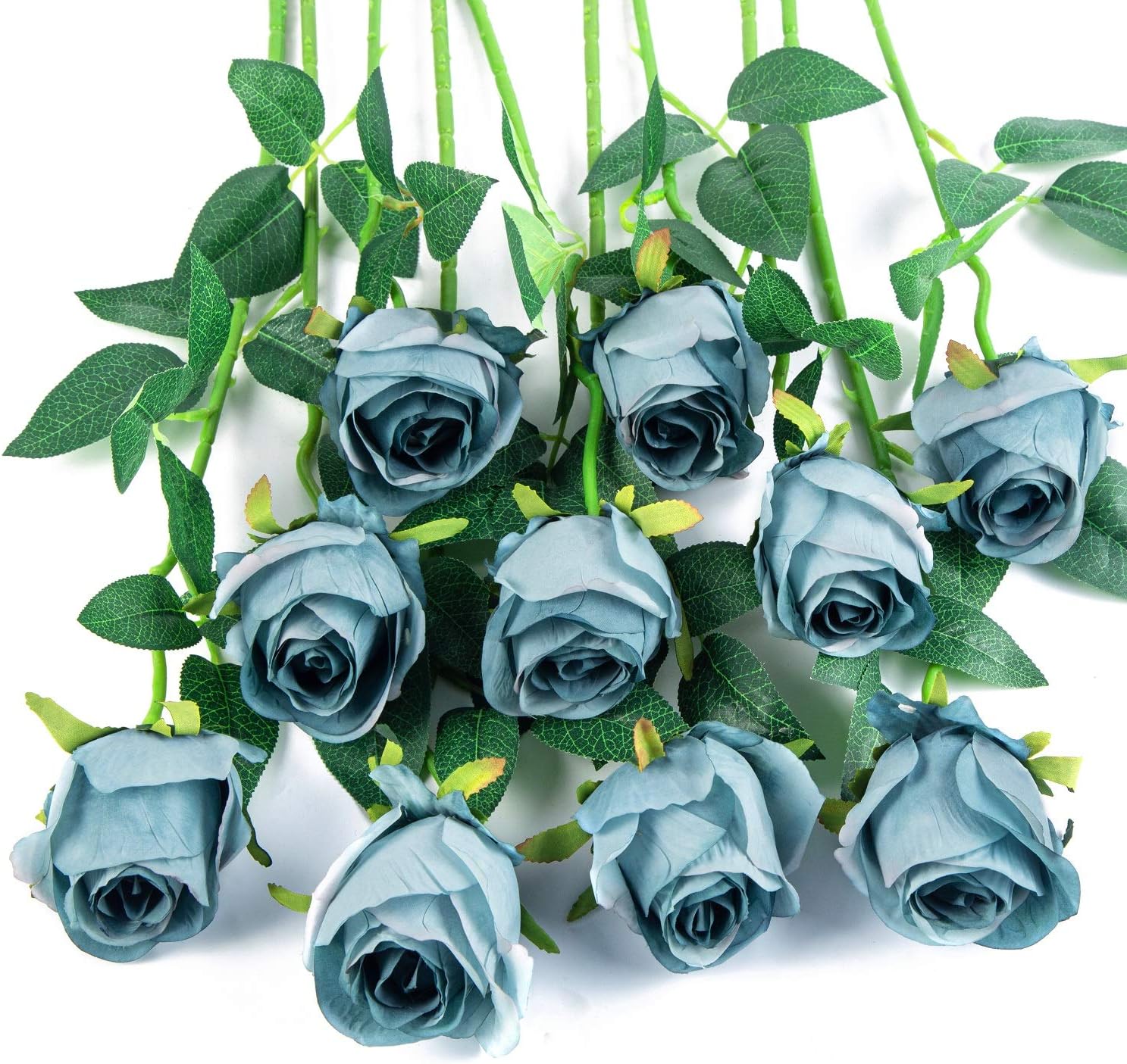 Black Artificial Plant — Blue