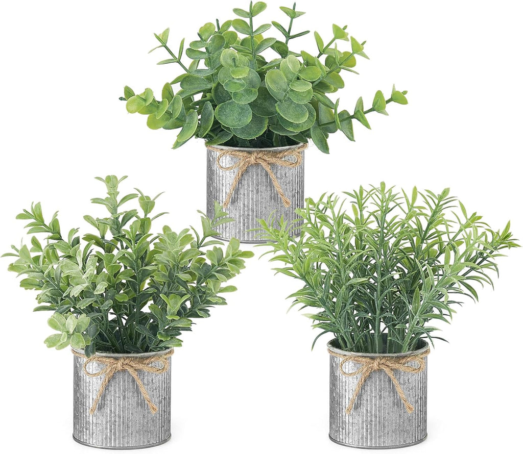 Farmhouse Black Artificial Plant — 3" — Grey