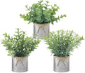 Farmhouse Black Artificial Plant — 3" — Grey