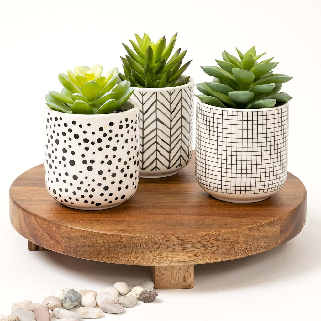Farmhouse Faux Plant — 4.75" - View 6