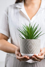 Farmhouse Faux Plant — 8" - View 6