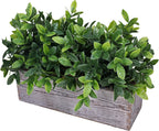 Rectangular Farmhouse Wood Artificial Plant - View 2