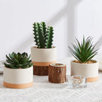 Black Artificial Plant — Set of 3 - View 7