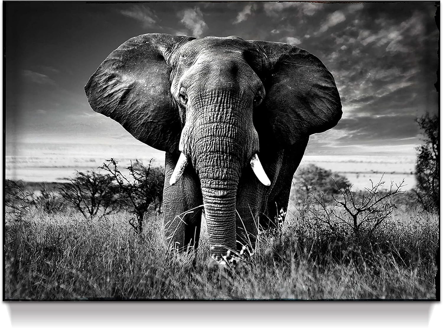 Farmhouse Black Wall Art — 16" — African Elephant