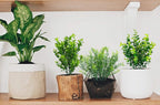Green Artificial Plant - View 4