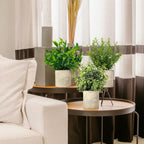 Boho Green Artificial Plant - View 4