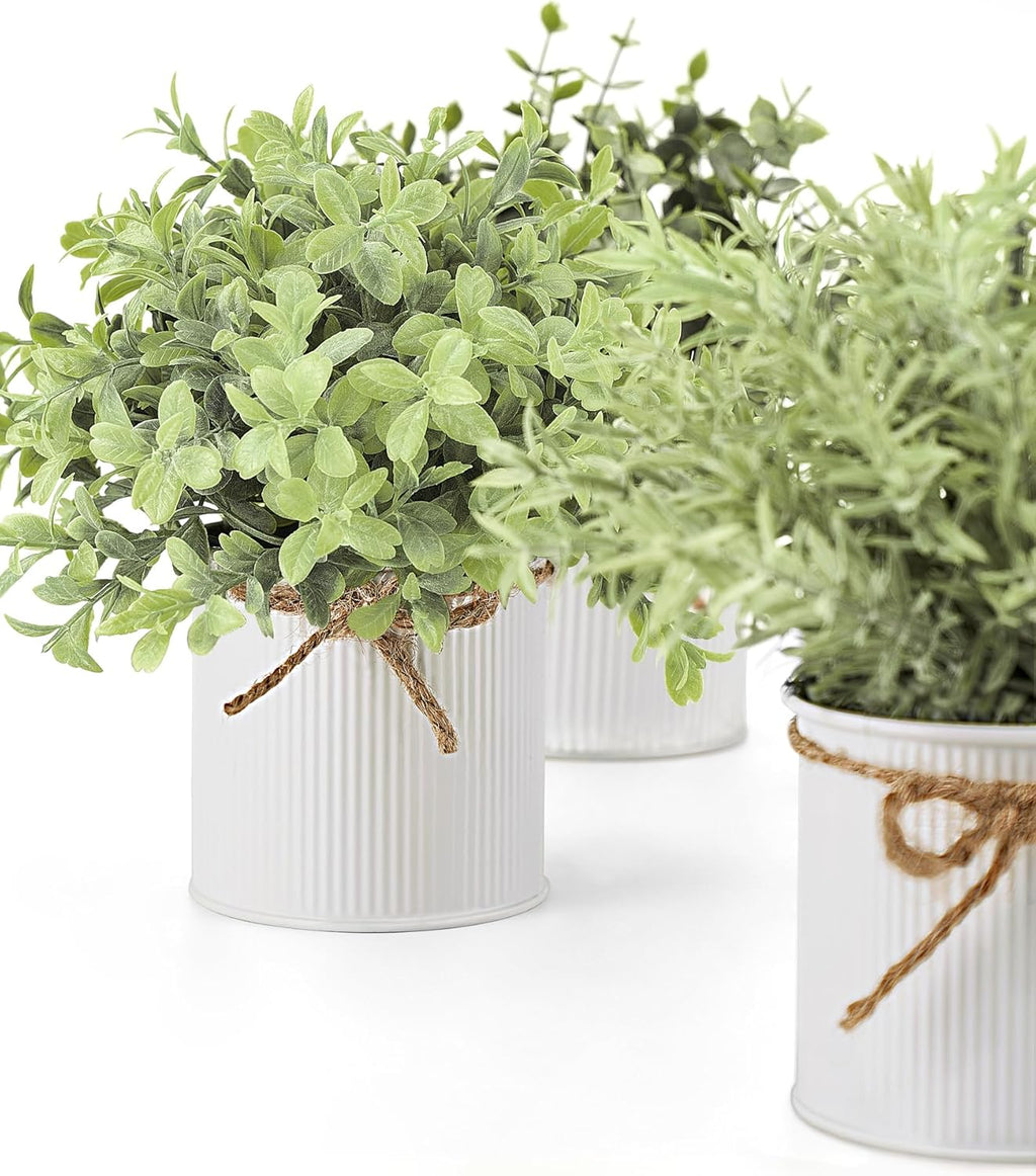 Farmhouse Black Artificial Plant — 3" - View 6