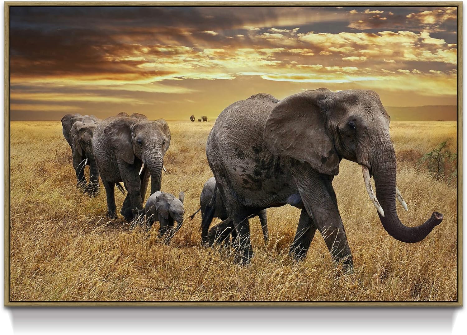 Farmhouse Black Wall Art — 16" — Migrate Elephant