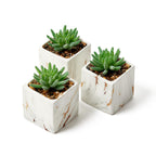 Luxe Black Faux Plant — Set of 3