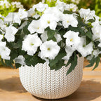 Blue Artificial Flowers — White
