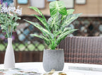 Faux Plant — 16" - View 5