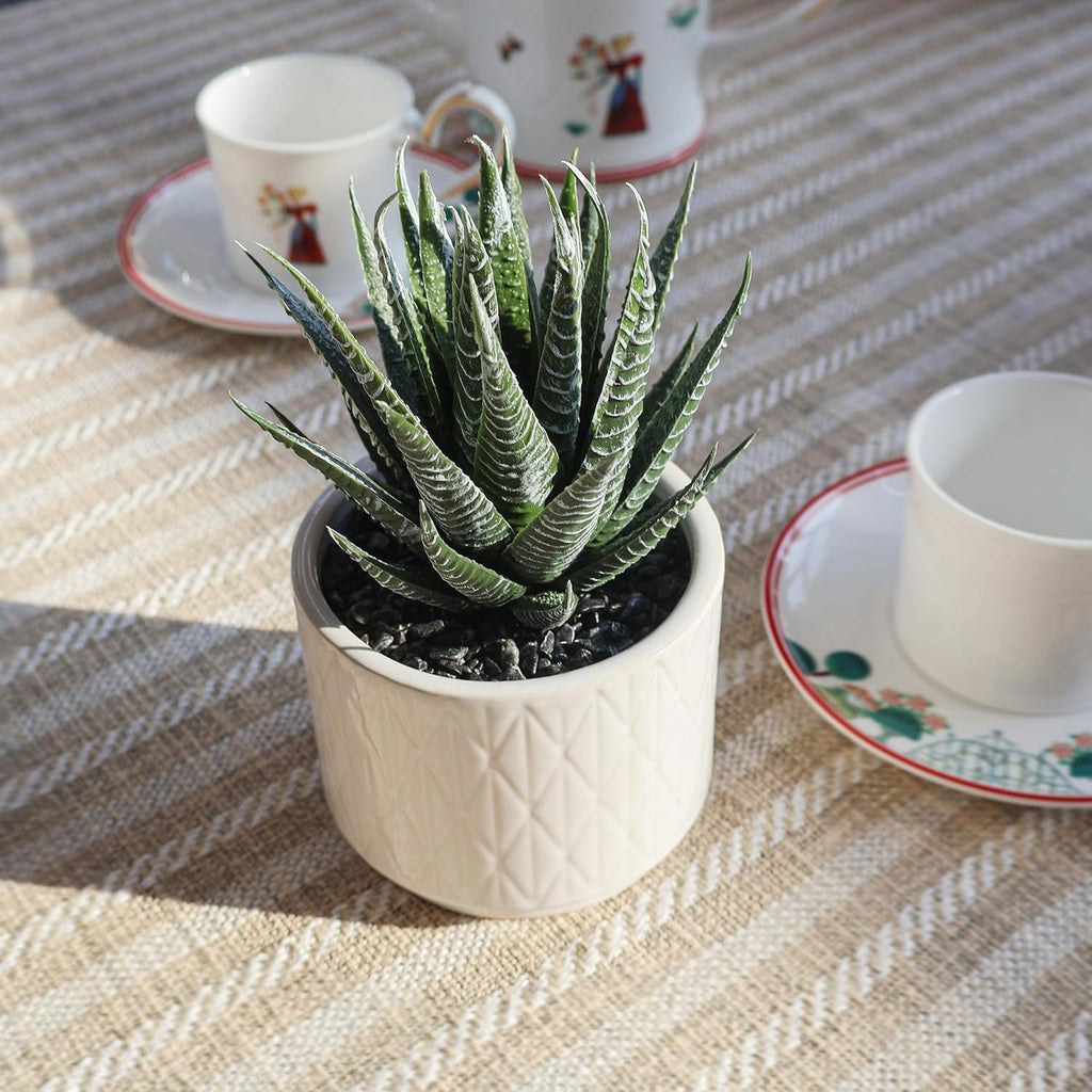 Beige Faux Plant — 6.7" - View 7