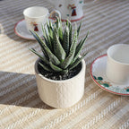 Beige Faux Plant — 6.7" - View 7