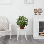 Luxe Wood Faux Plant - View 5