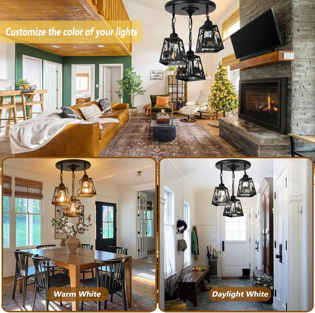 Farmhouse Metal Pendant Light - View 4