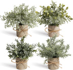 Farmhouse Faux Plant — Nature