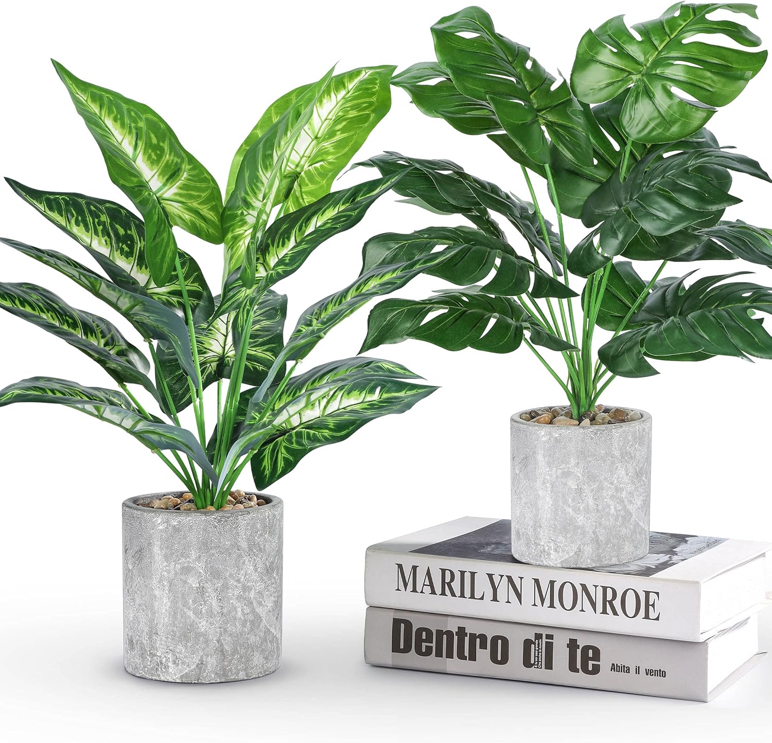 Faux Plant — Taro Leaf and Monstera Leaf