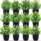 Green Faux Plant — Green