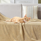 Beige Throw Pillow — 50" - View 6