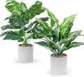 Faux Plant — 16" — Taro Leaf and Monstera Leaf