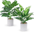 Faux Plant — 16" — Taro Leaf and Monstera Leaf