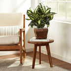 Luxe Wood Faux Plant - View 9