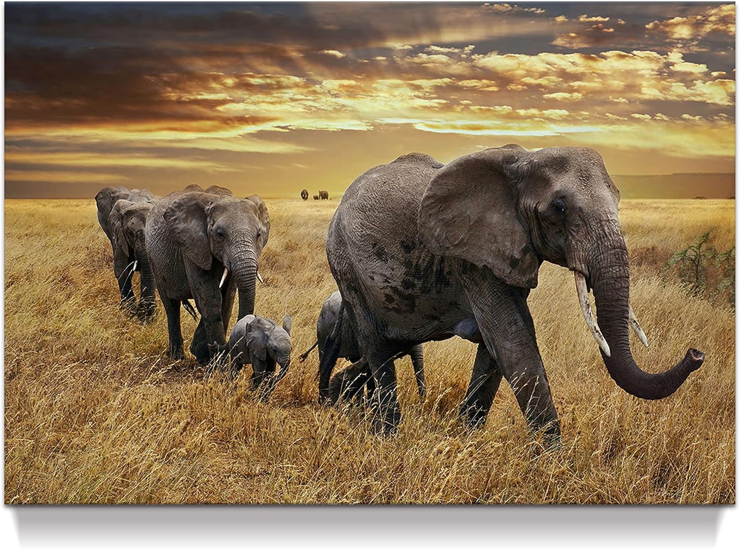 Farmhouse Black Wall Art — 16" — Migrate Elephant