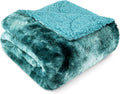 Beige Throw Pillow — 80" — Teal
