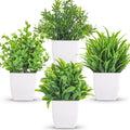 Faux Plant