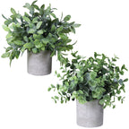 Farmhouse Wood Artificial Plant — Set of 2