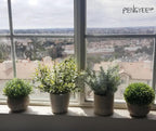 Farmhouse Faux Plant - View 8