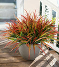 Green Artificial Plant — Gradient Red