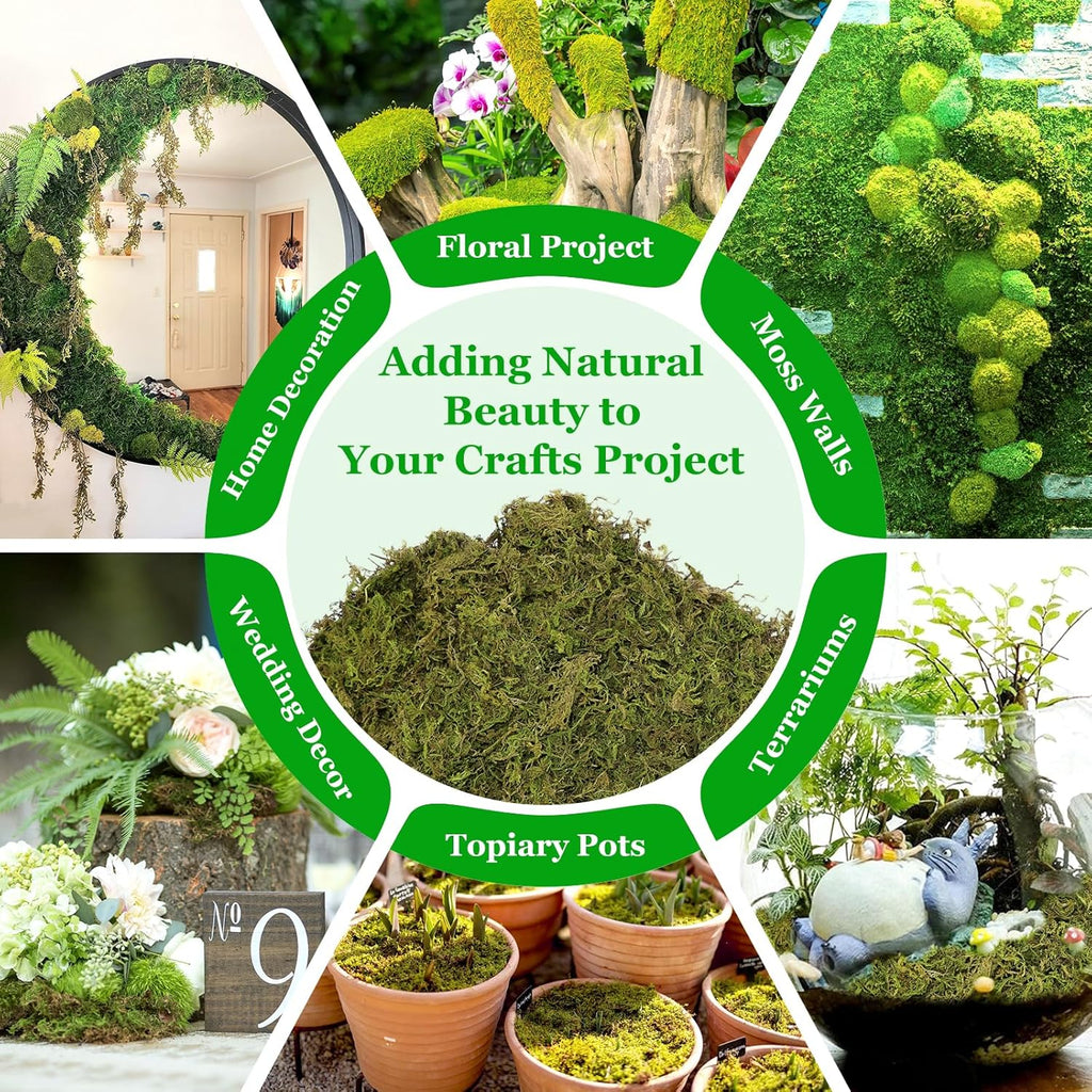 Artificial Plant - View 7