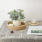 Farmhouse Green Faux Plant — 8" - View 2