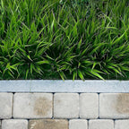 Green Artificial Plant - View 4