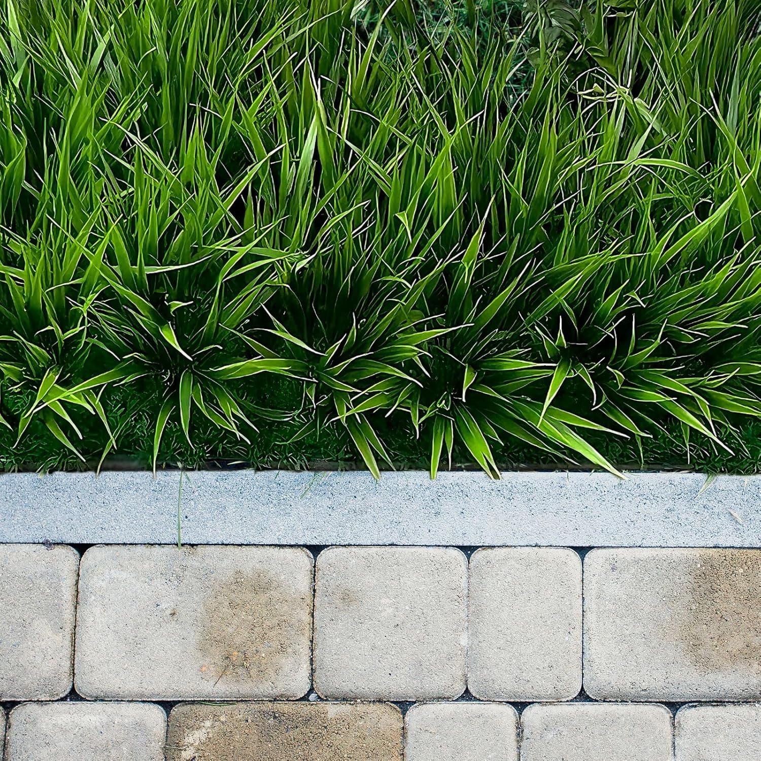Green Artificial Plant - View 4